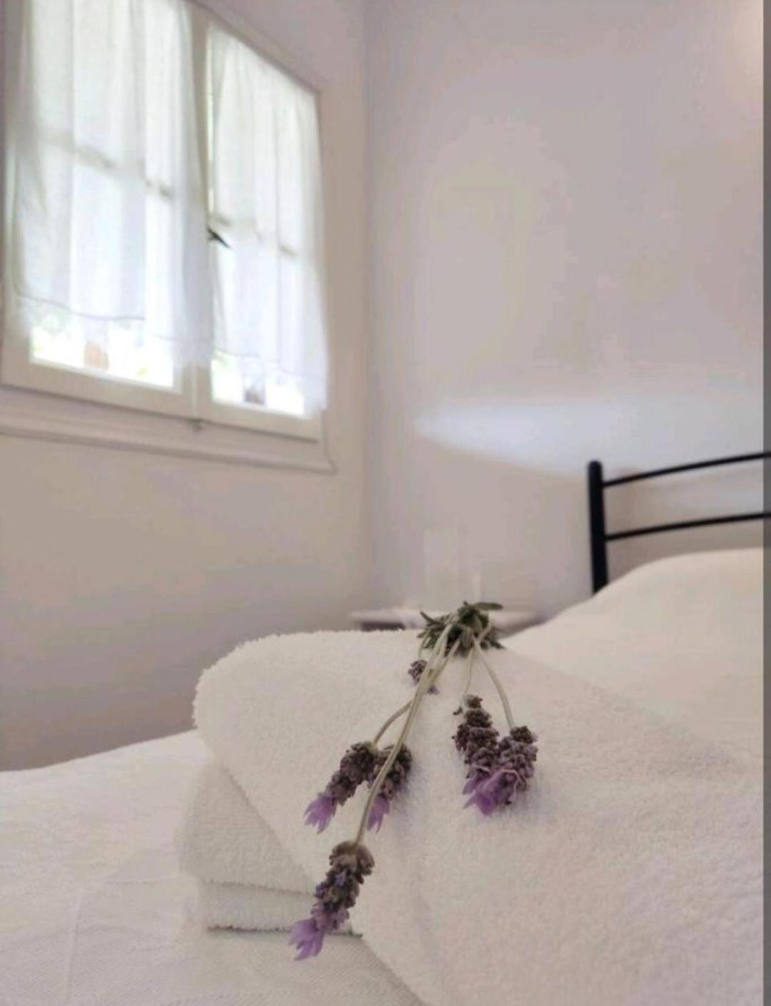 Apartment λεβάντα