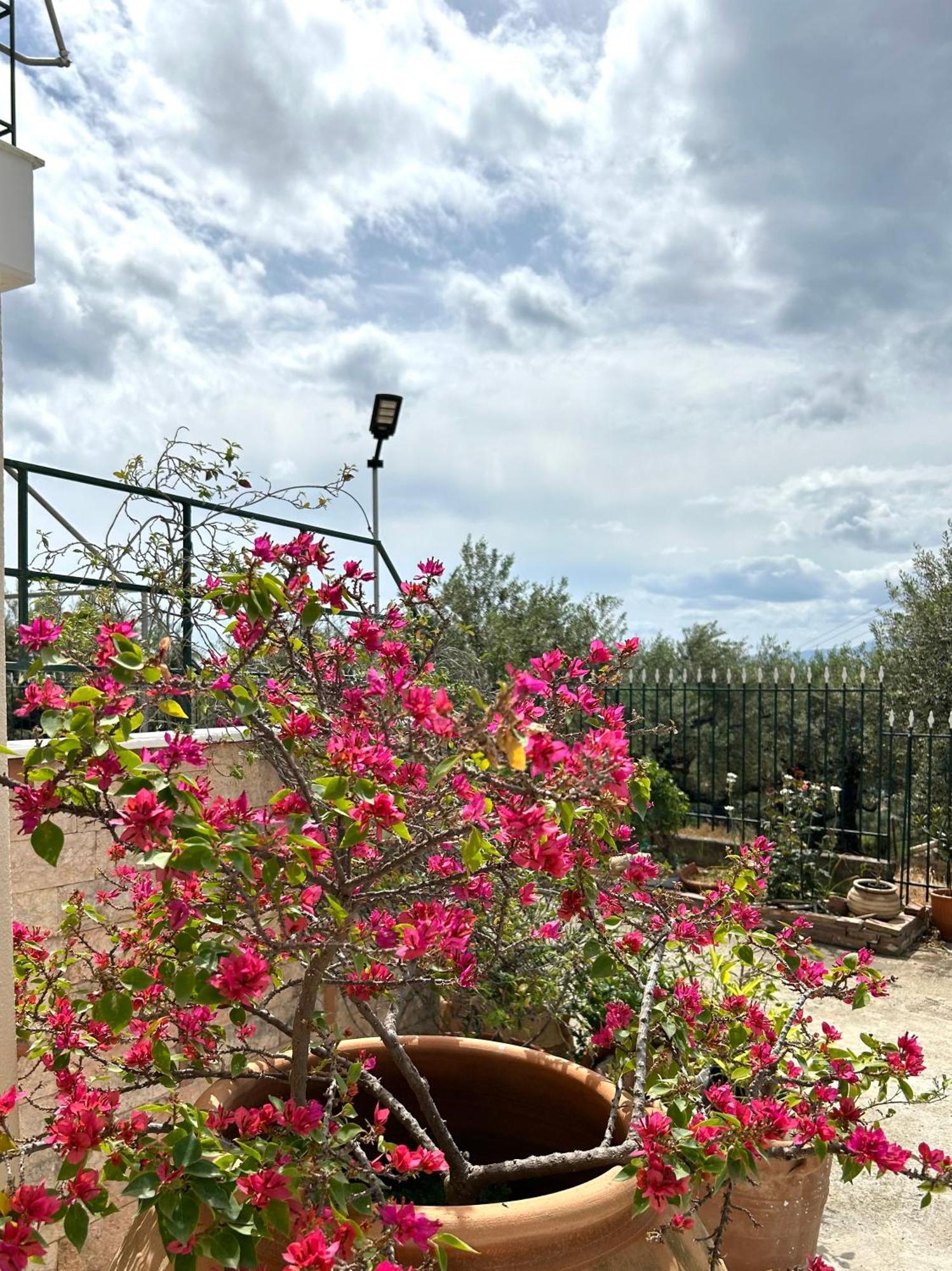 Ansolive Retreats * Kalamata