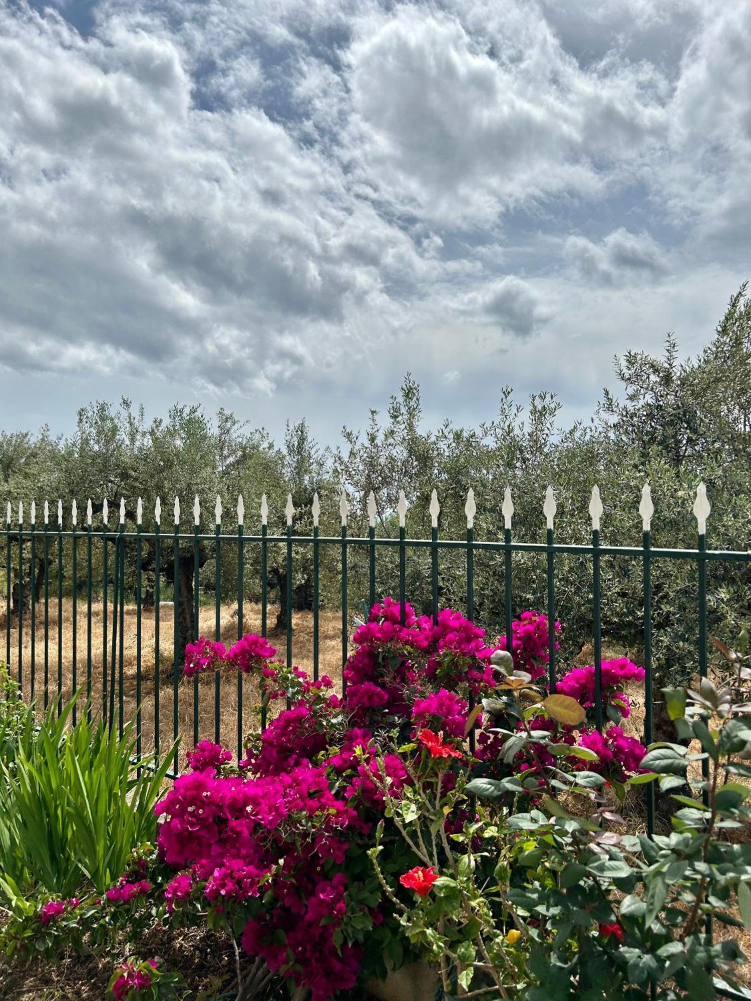 Ansolive Retreats Kalamata