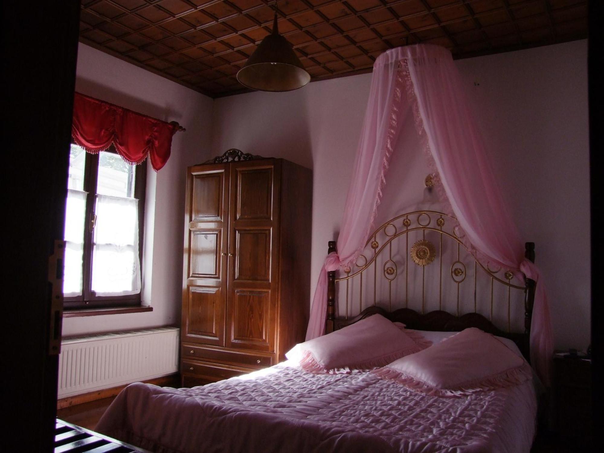 Mansion Theodora Guest house Makrinitsa