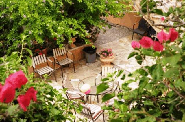 Noula Studio