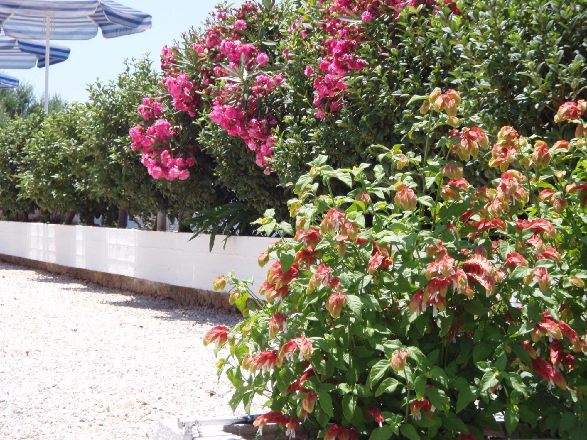 Villas Michalis Aparthotel
