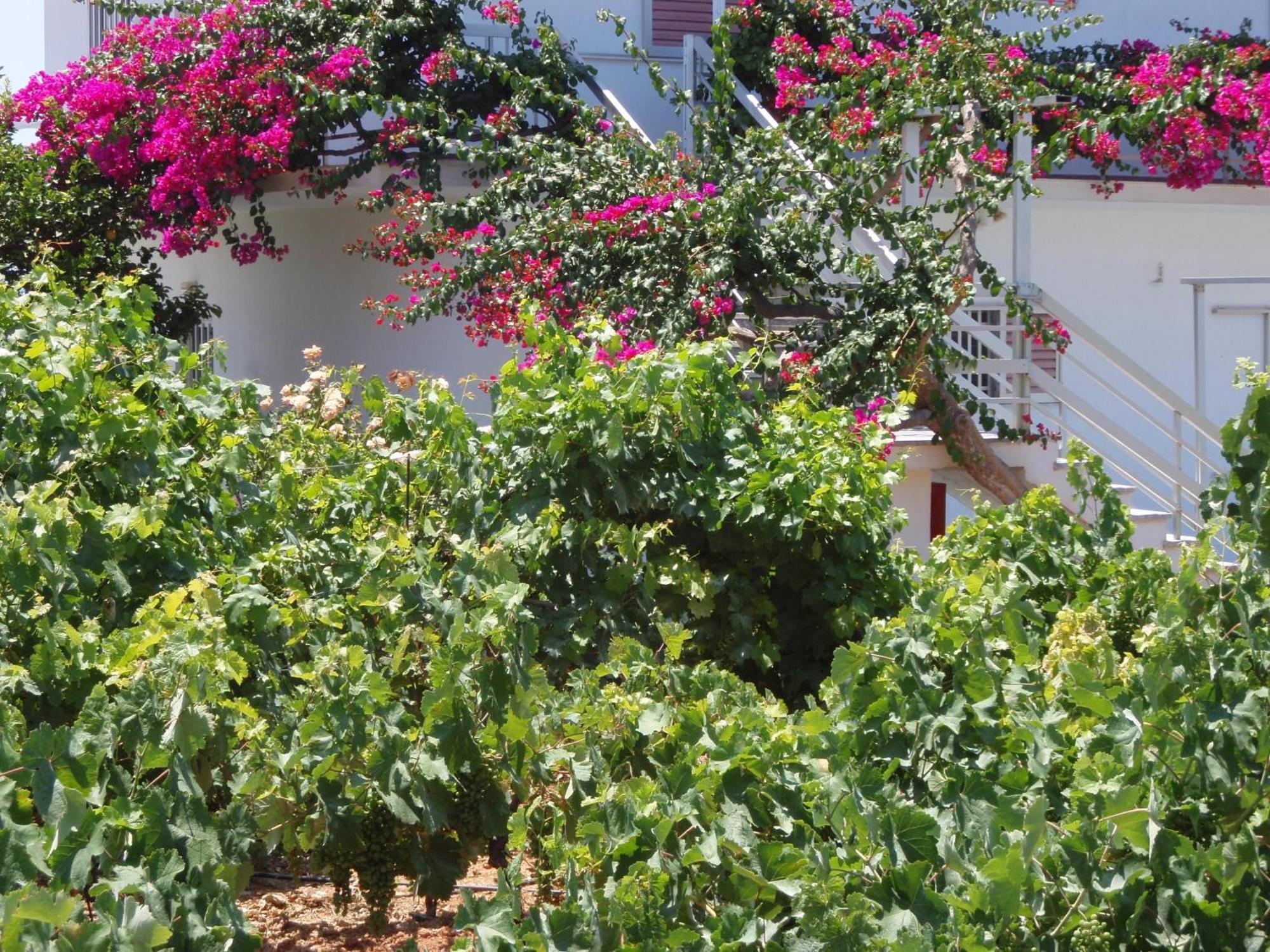 Aparthotel Villas Michalis 3*