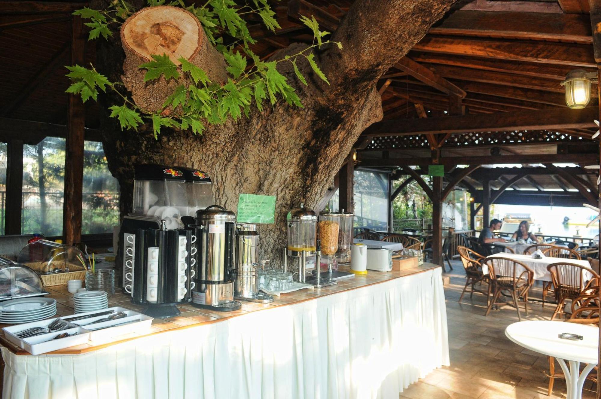 Haus Platanos & By The Sea Apartment Vourvourou