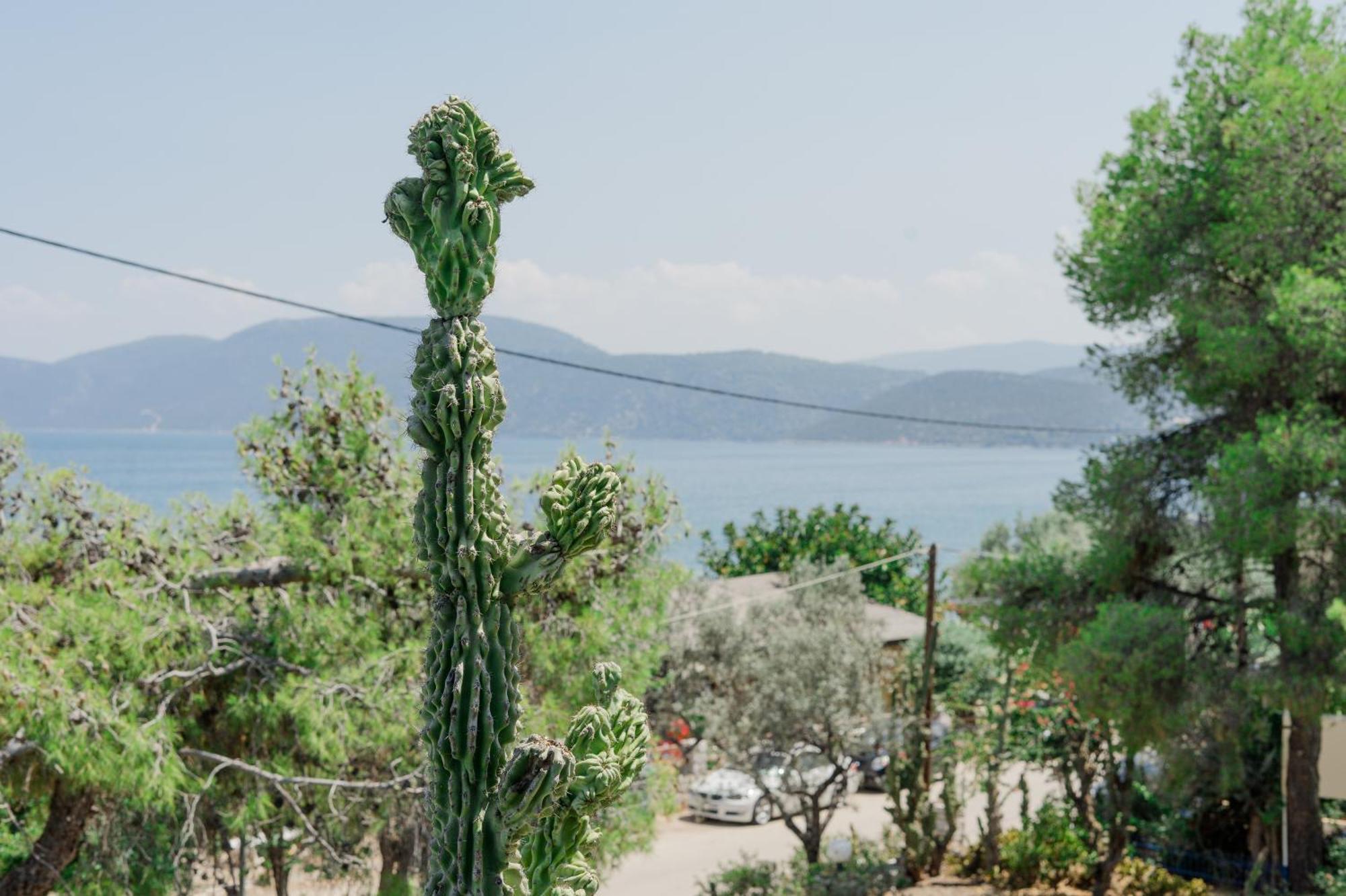 Hotel Korfos - Ξενοδοχείο Κόρφος Renovated Hotel 2*