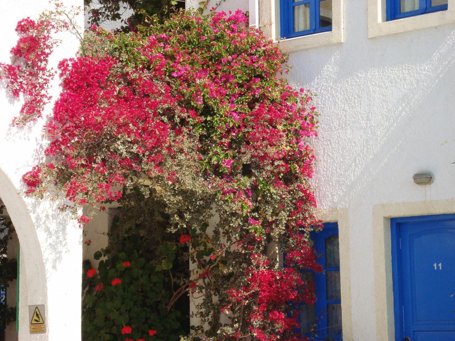Creta Sun