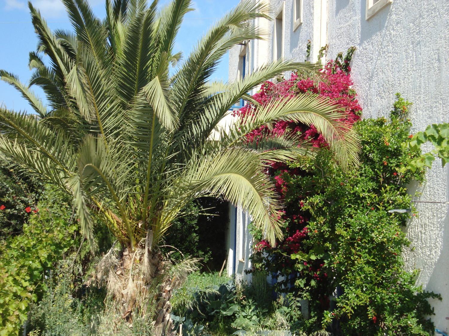 Creta Sun Agia Pelagia (Crete)