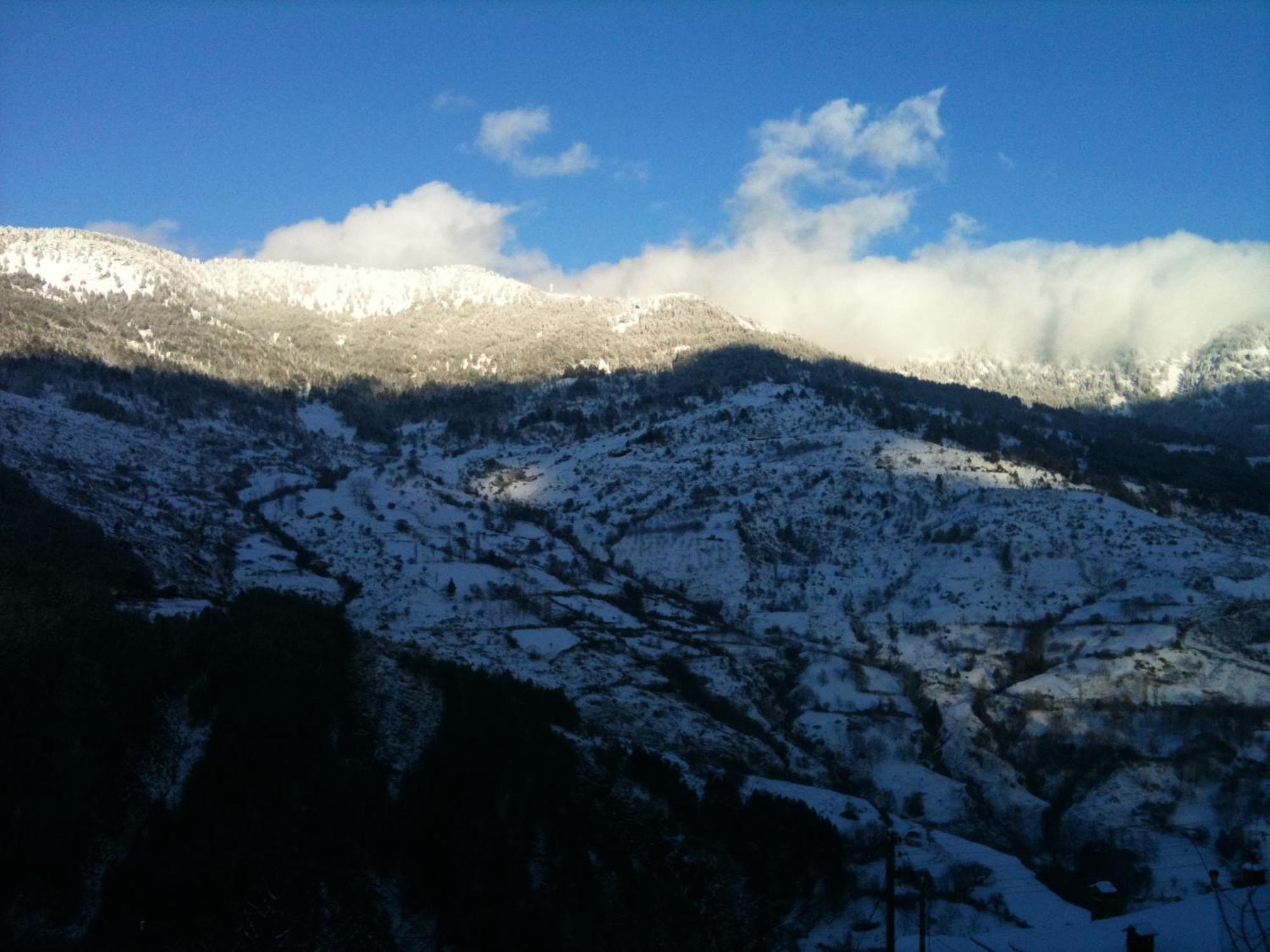 Olympic Metsovo
