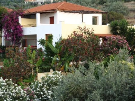 Heleni Epidaurus