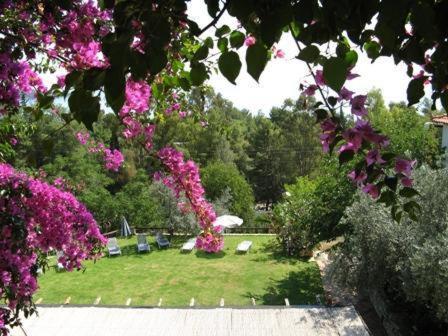 Aparthotel Heleni 4*