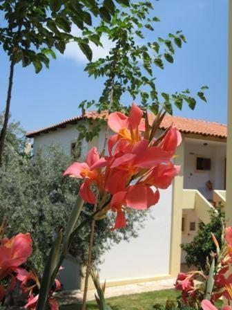 Aparthotel Heleni