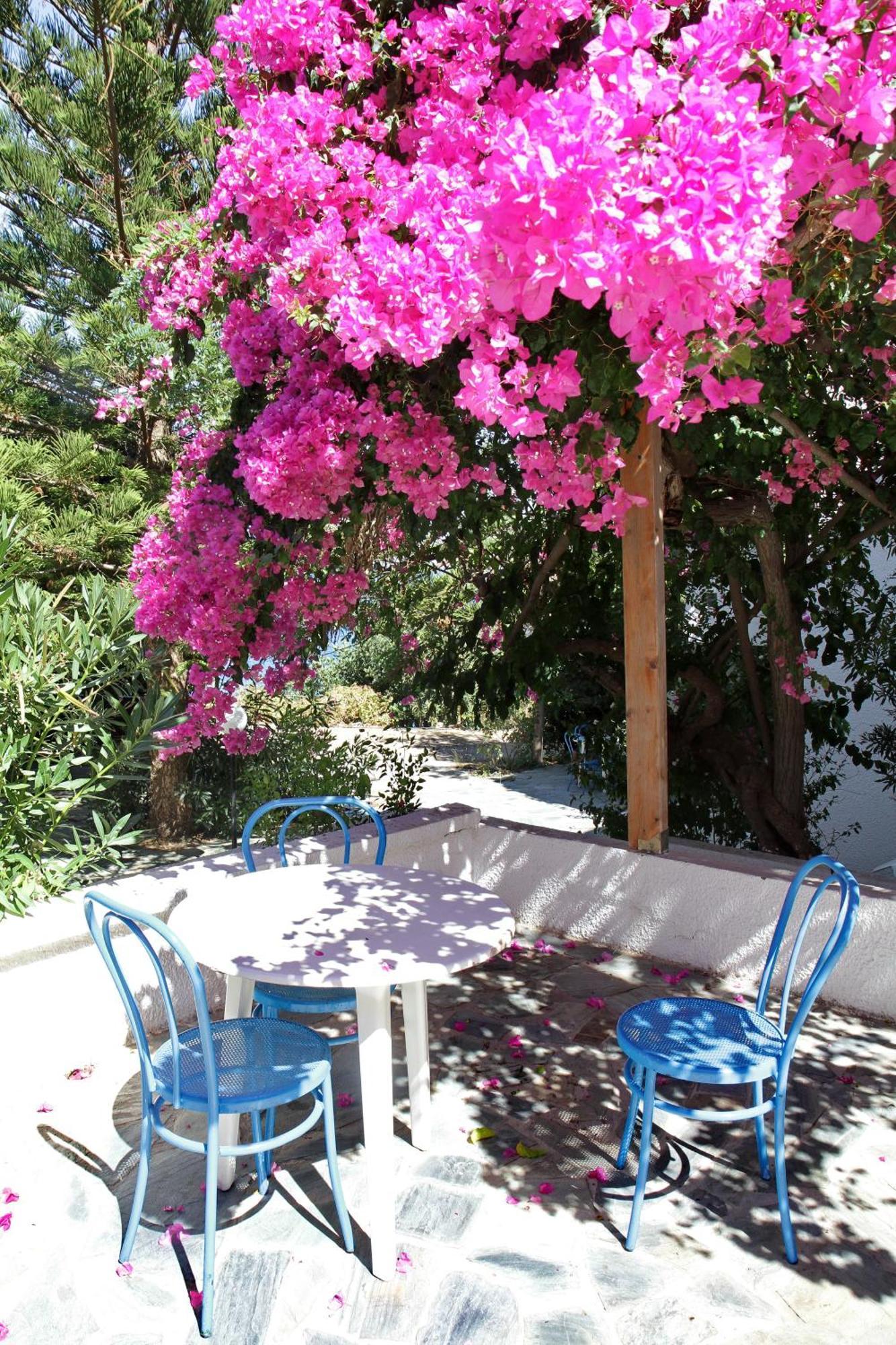 Hotel Delfini