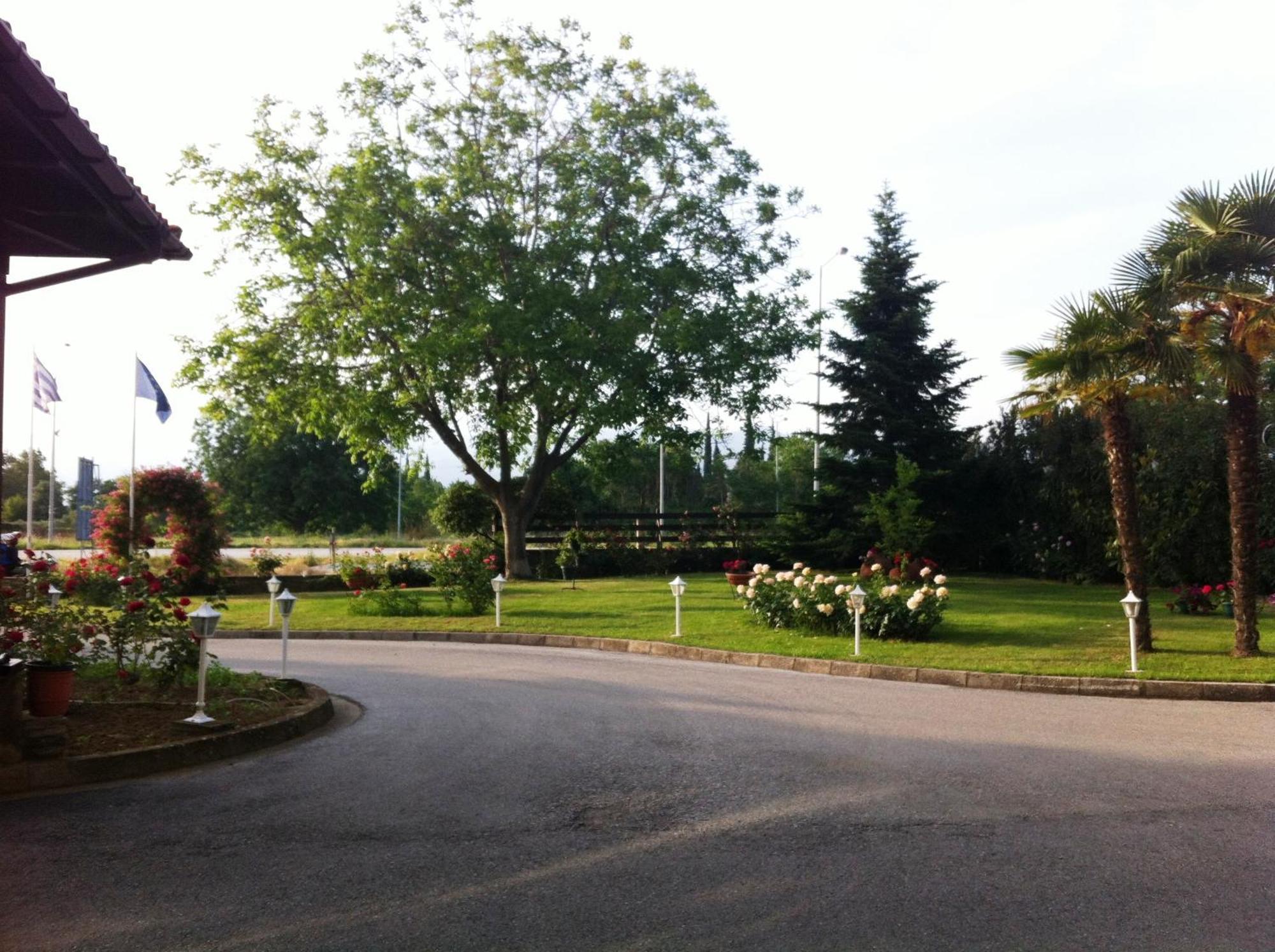 Hotel Rodopi 3*