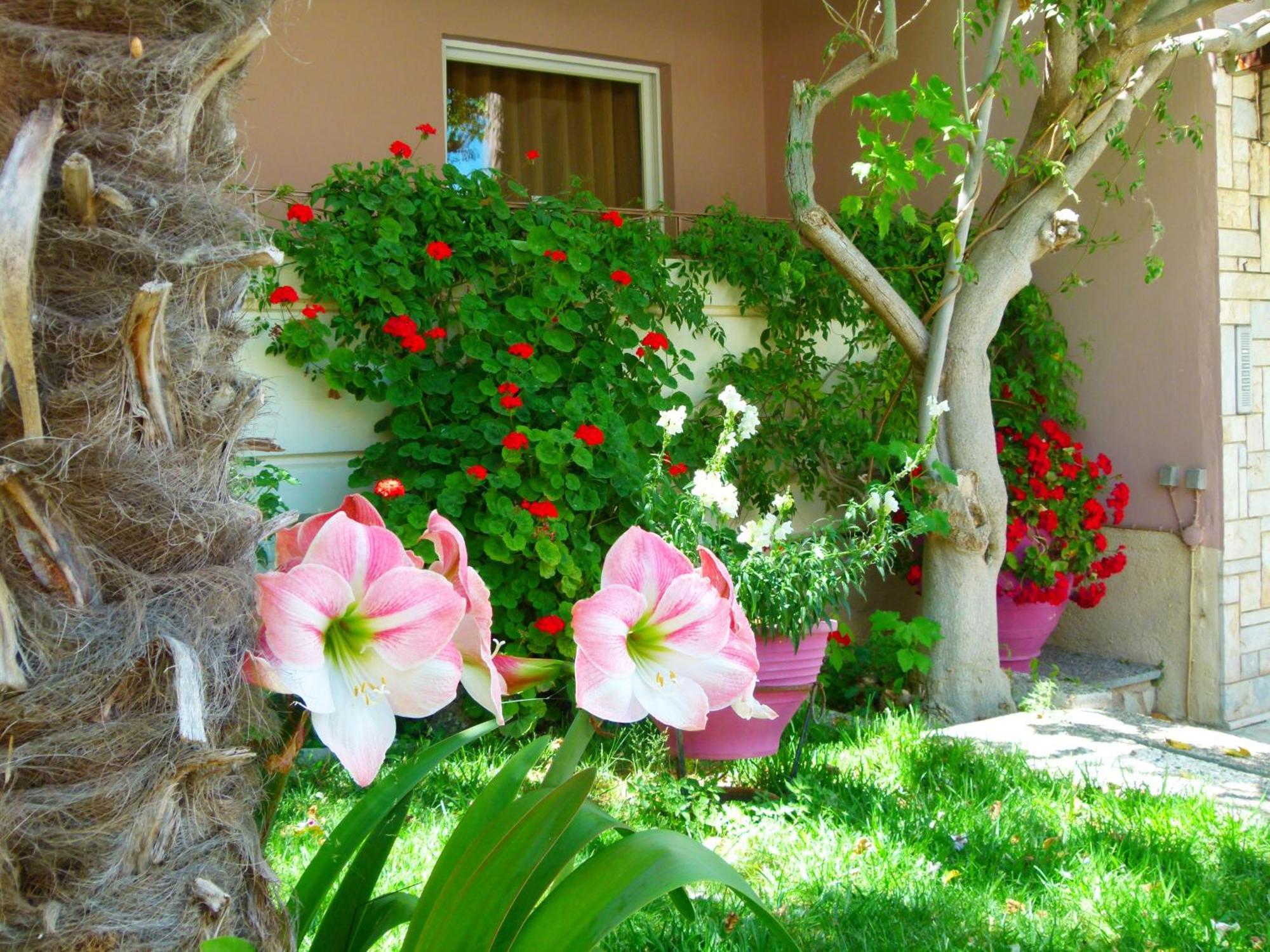 Hotel Sun Rise Eretria (Evia)