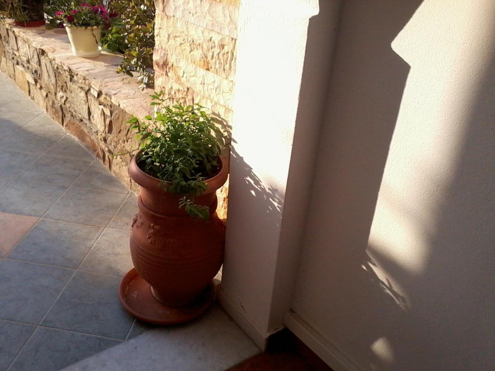 Aparthotel Acti 2*