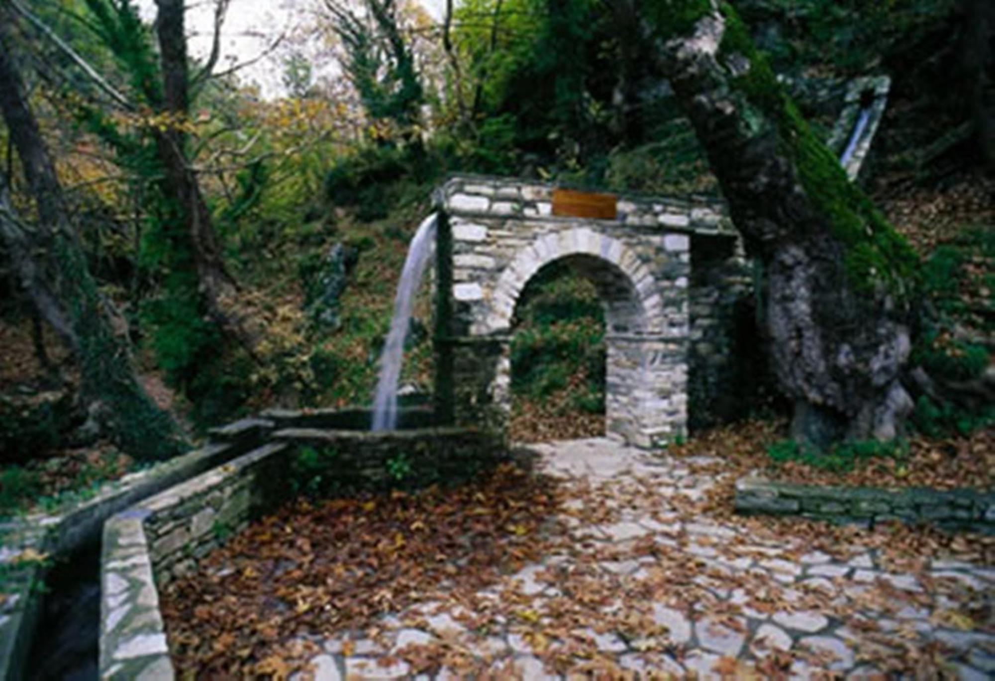 Pelion