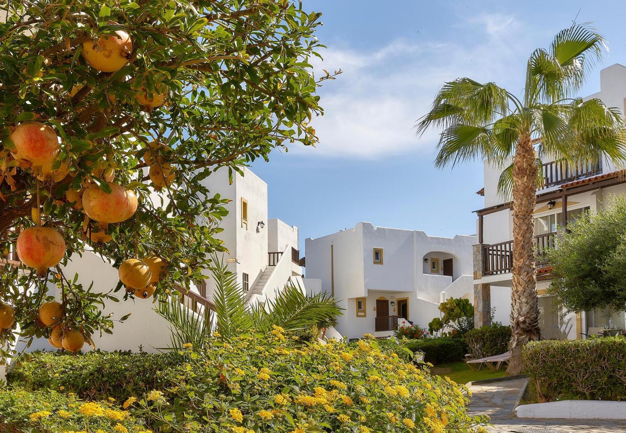 Resort Alexander & Village