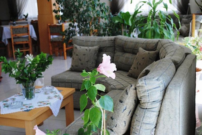 Guest house Pyrassos *