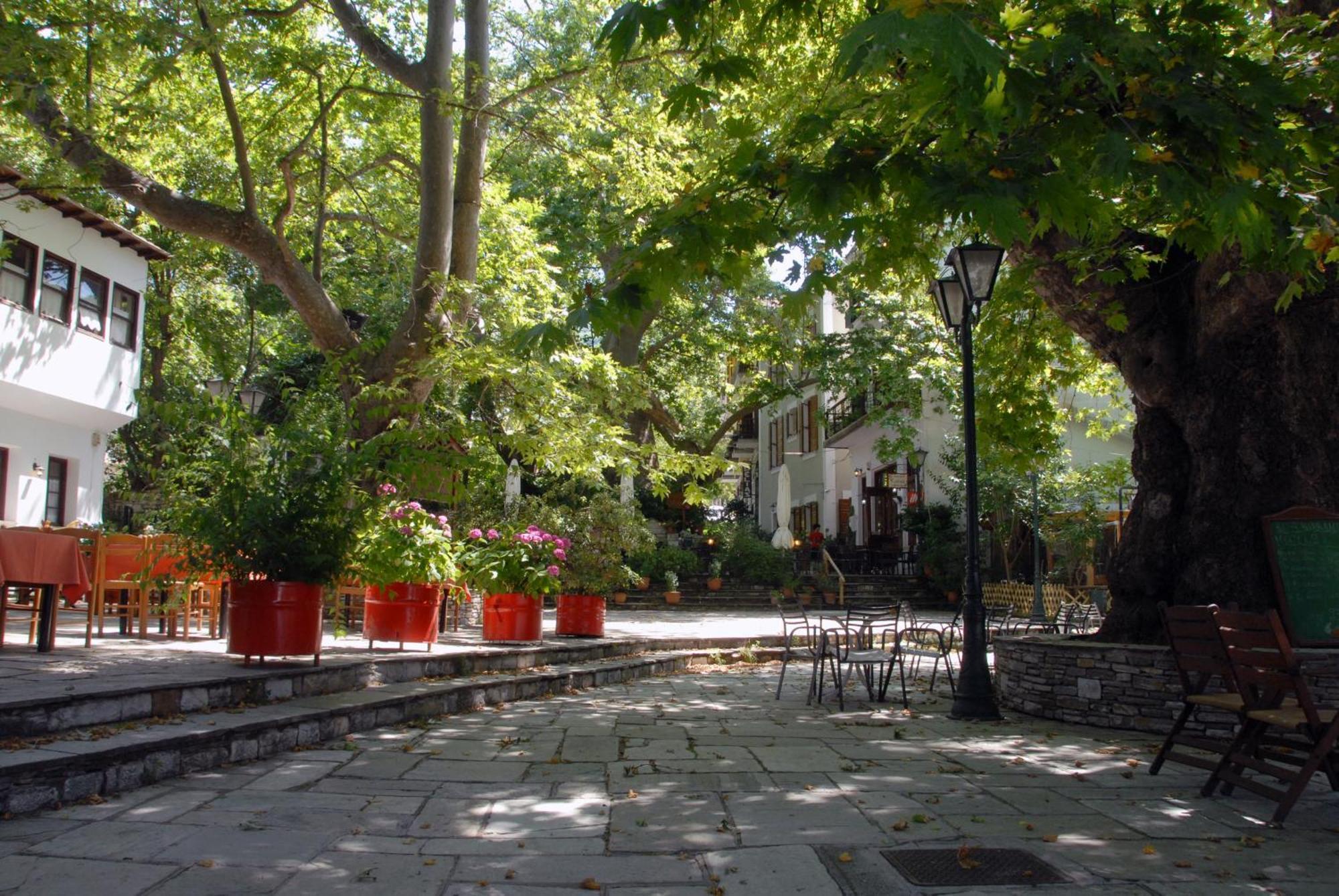 Hotel Filoxenia 2*