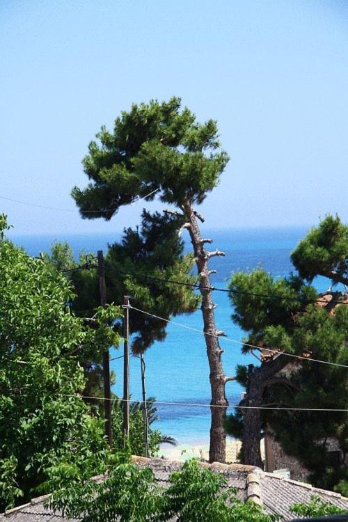 Alexander Skala (Kefalonia)