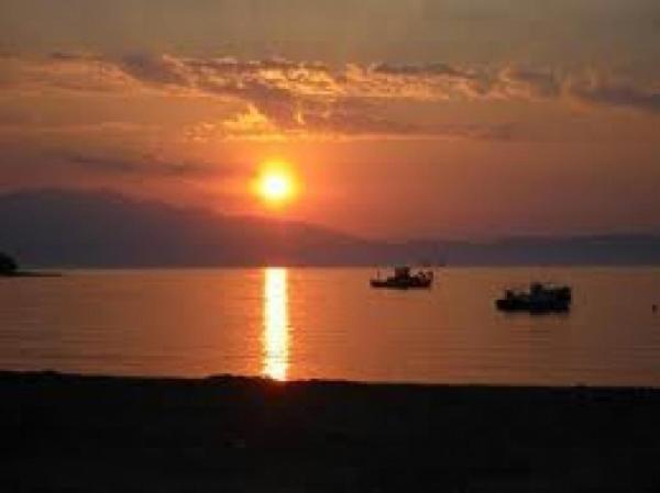 Iris Prinos (Thasos)