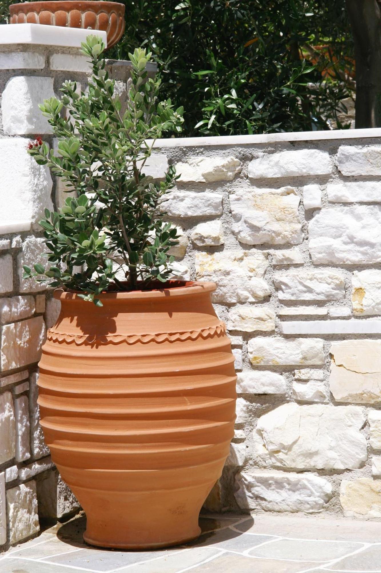 Anna Platanou Parikia (Paros)