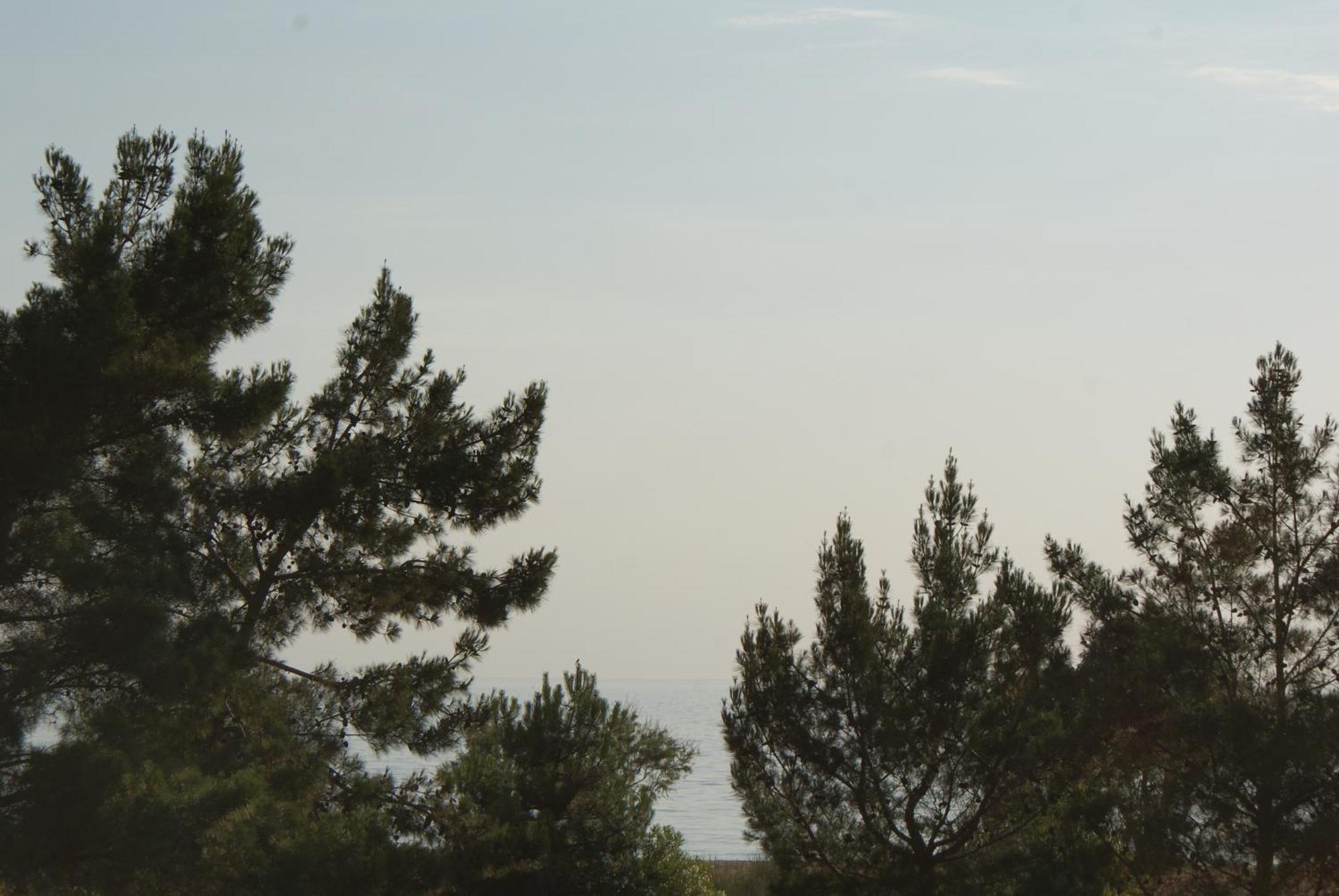 Apartment Fotini Prinos (Thasos)
