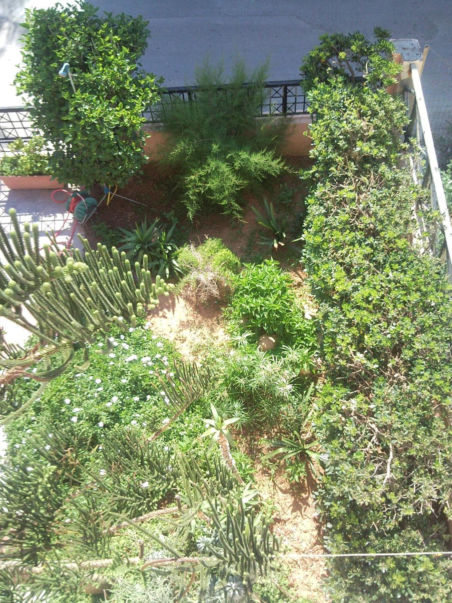 Aparthotel Stella 3*