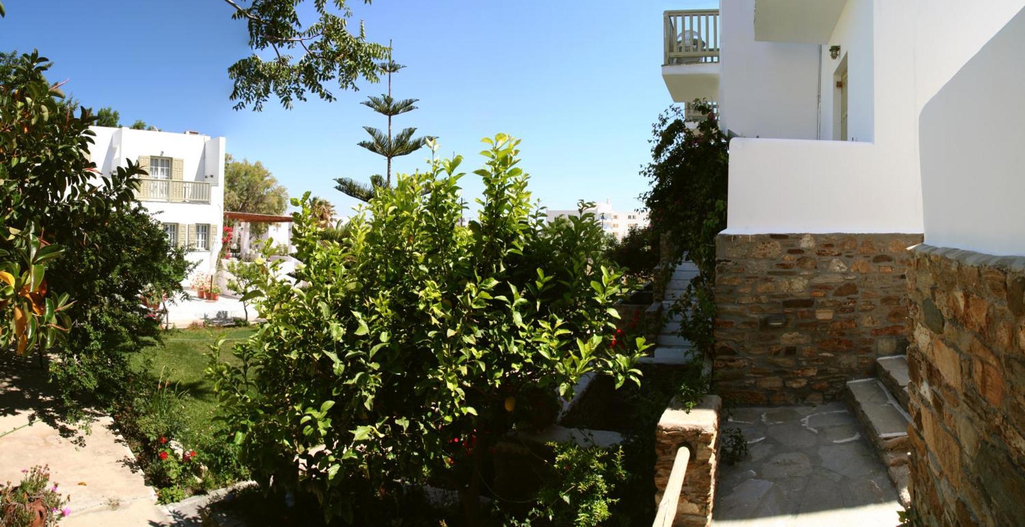 Hotel Vidalis Kionia