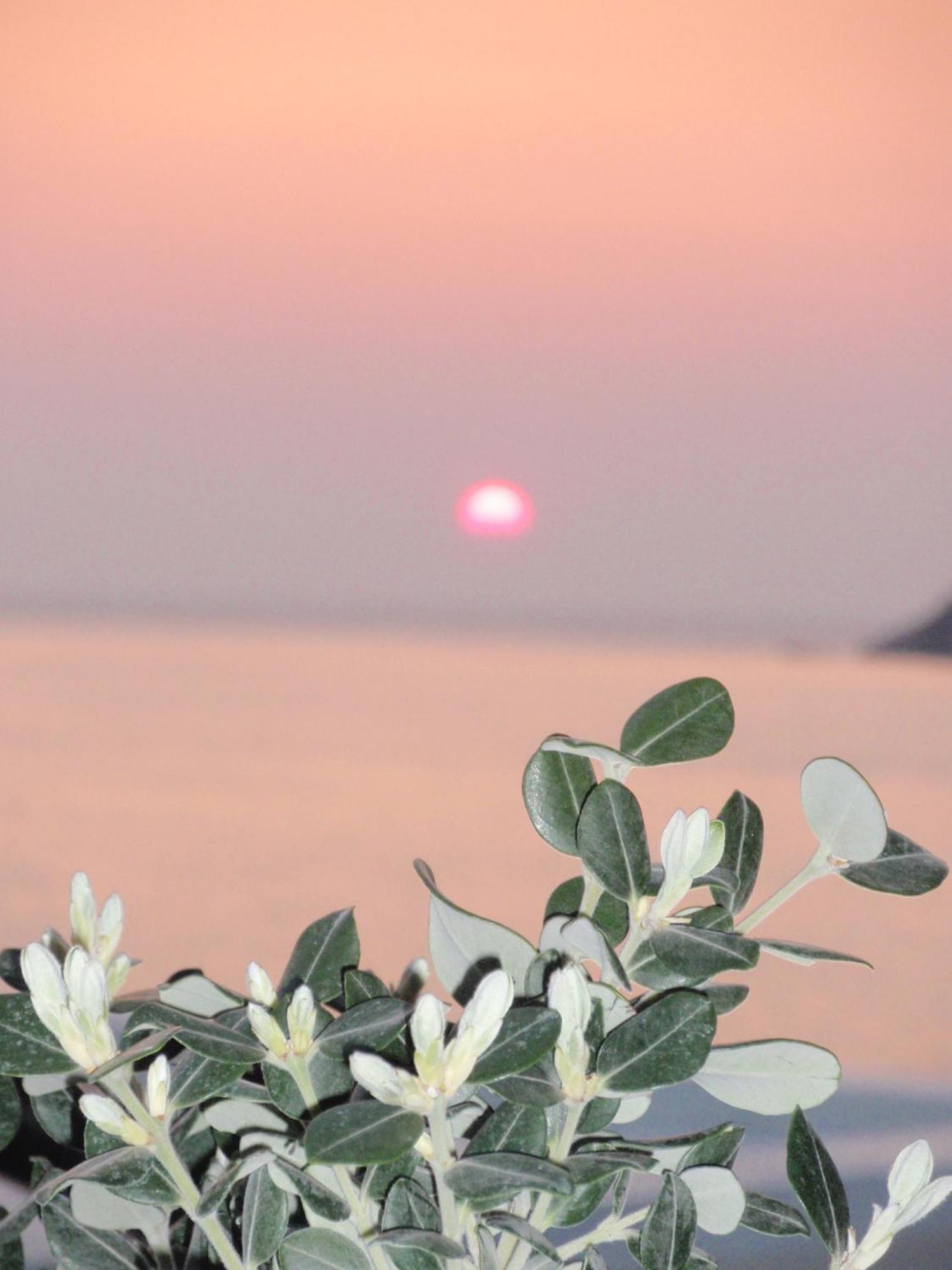 Delfini Kamares (Sifnos)