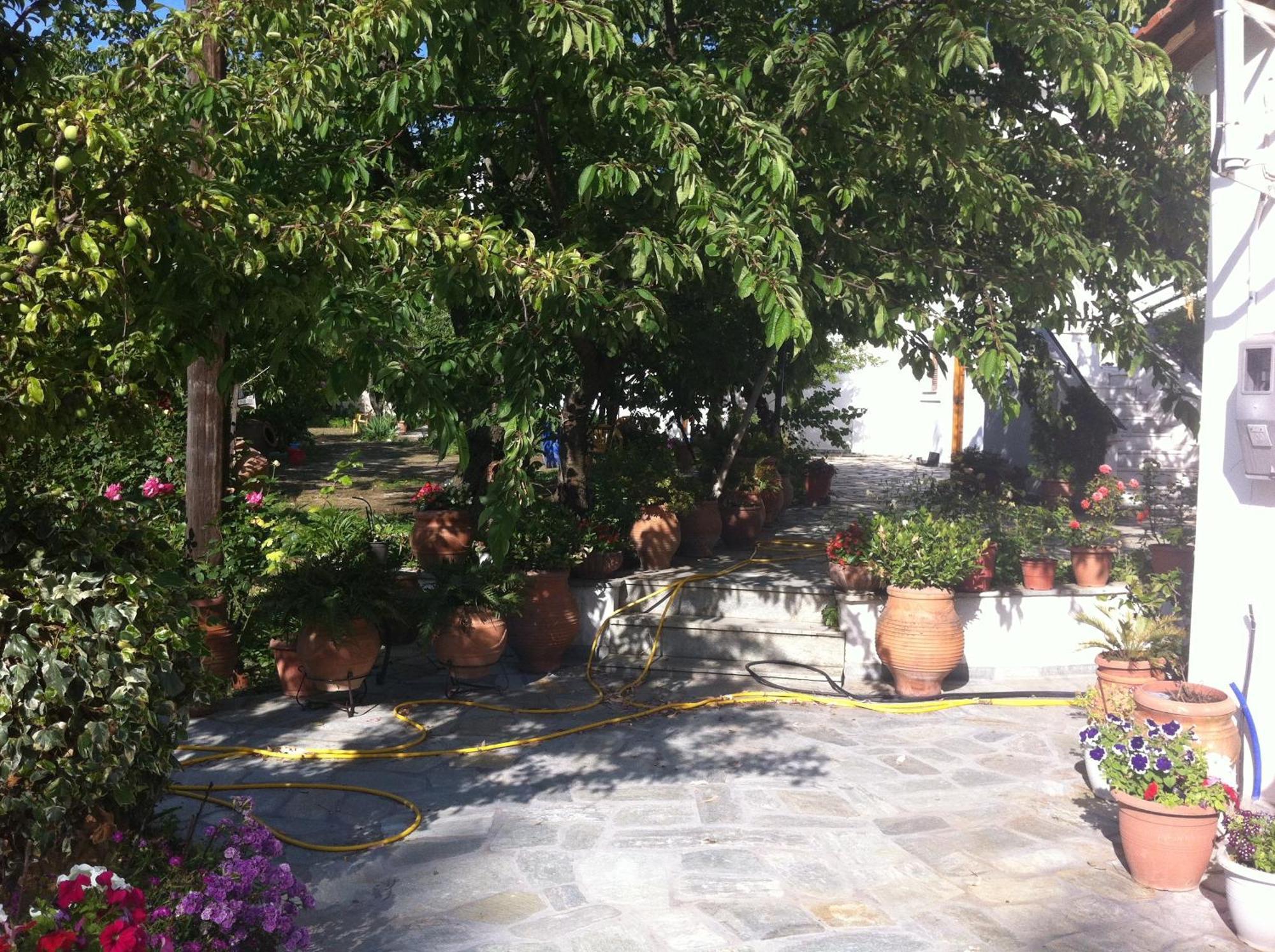 Apartment Okeanis