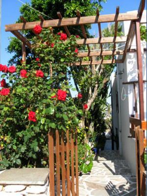 Batistas Naousa (Paros)