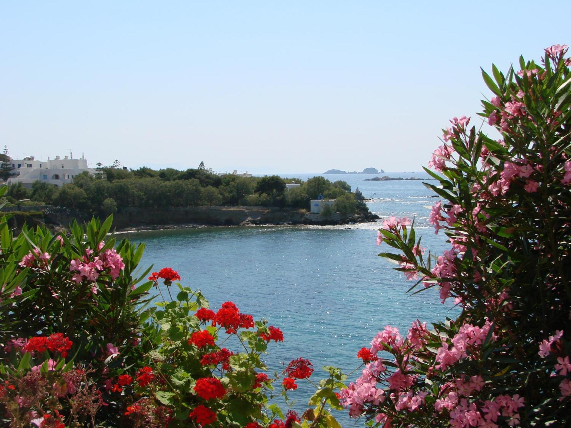 Nikolas Parikia (Paros)