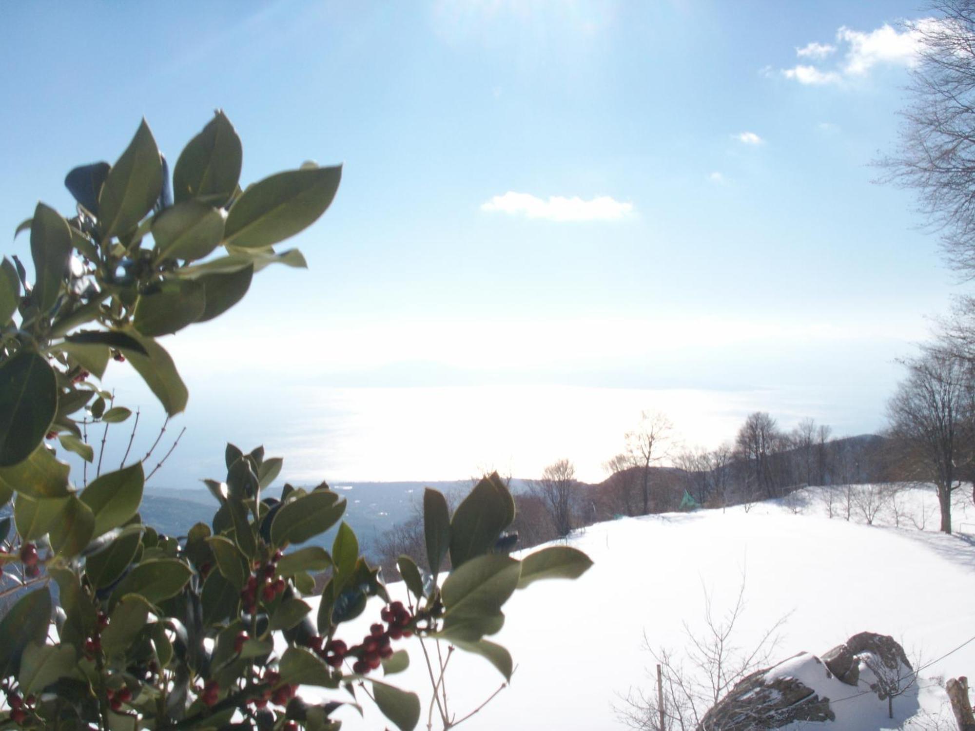 Hotel Manthos Mountain & 4*