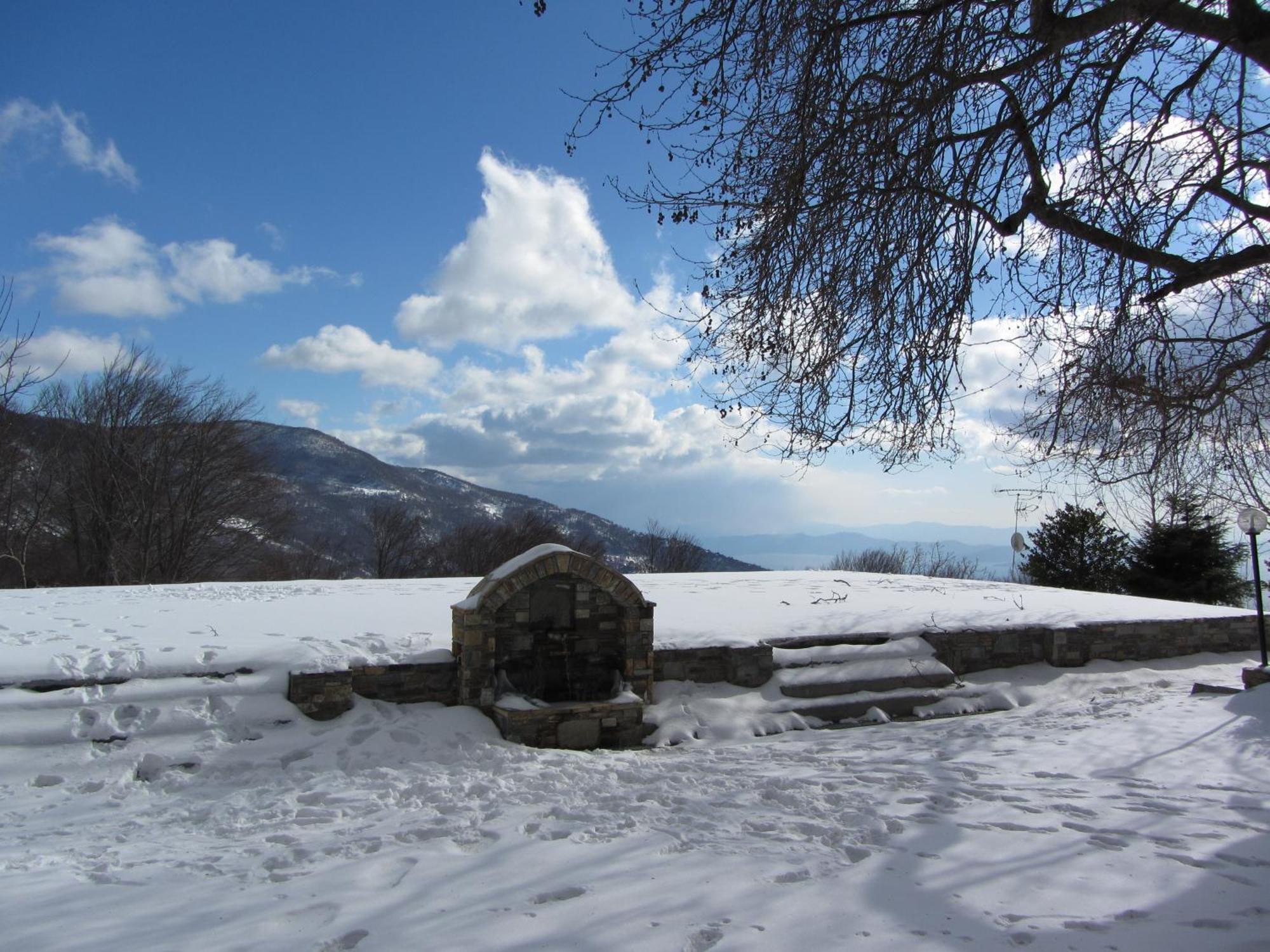 Hotel Manthos Mountain & Chania (Thessaly)