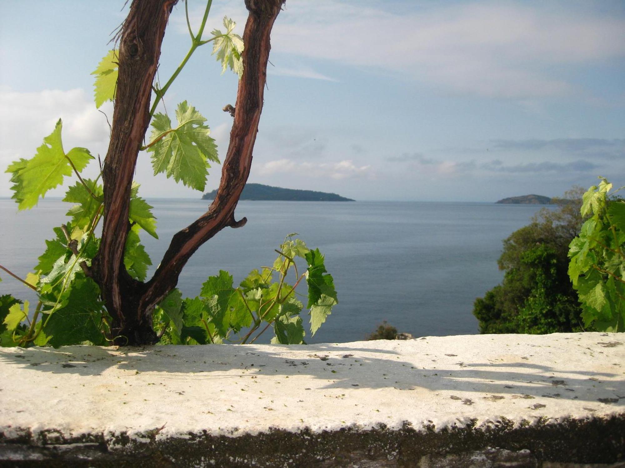 Hotel Orsa Skiathos Town