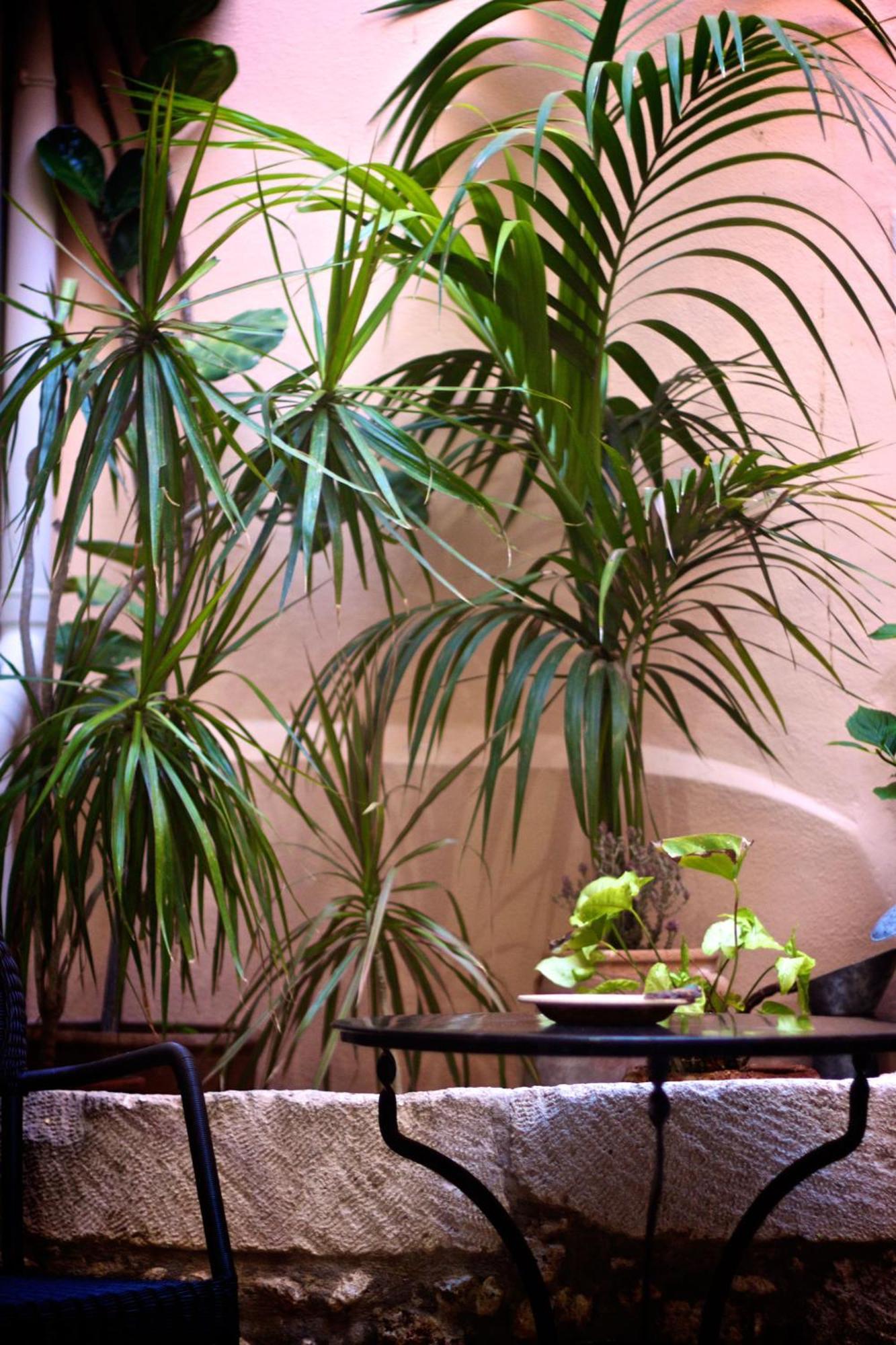 Hotel Casa Dei Delfini Rethymno (Crete)