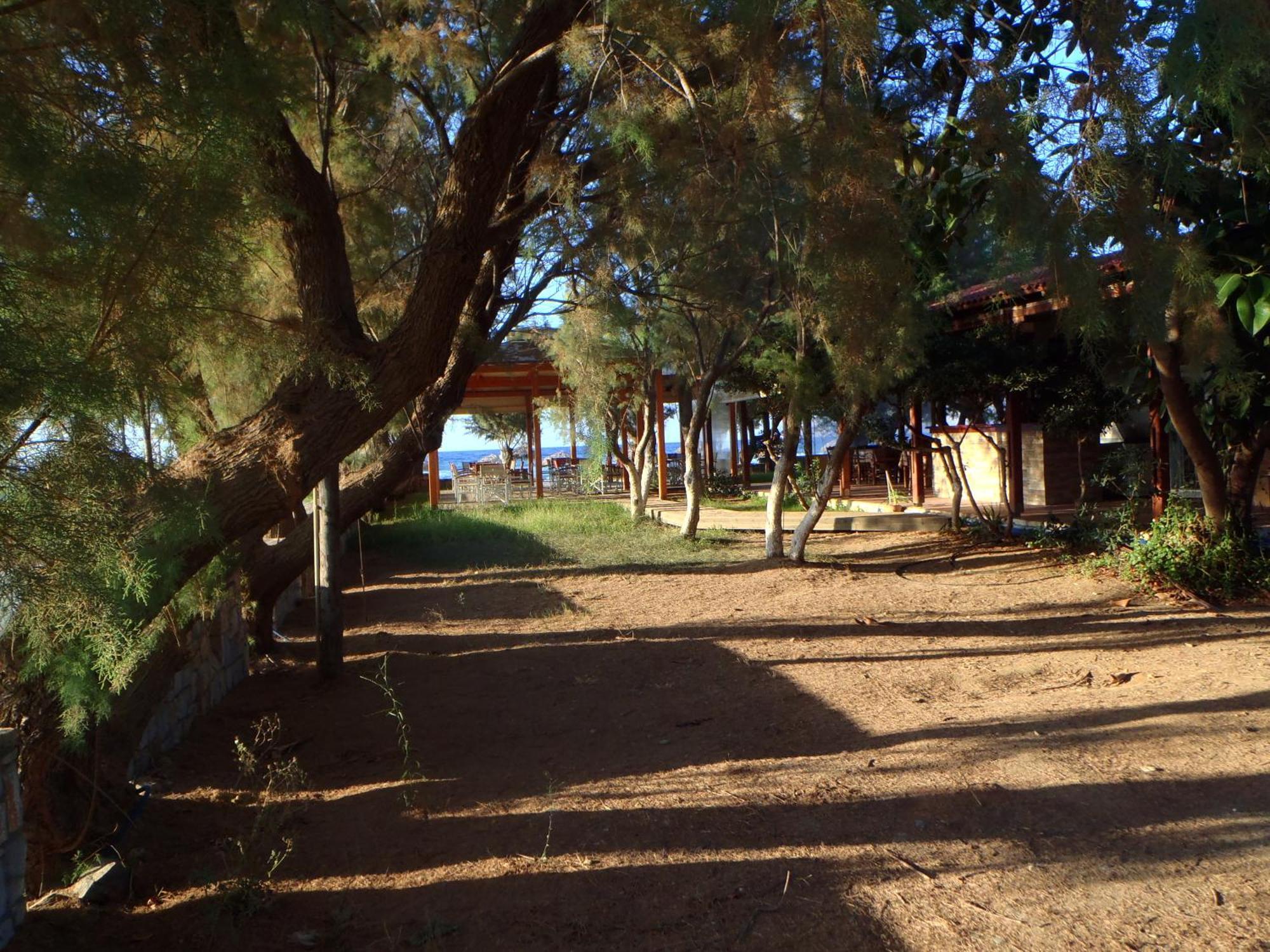 Aparthotel Leonidas *