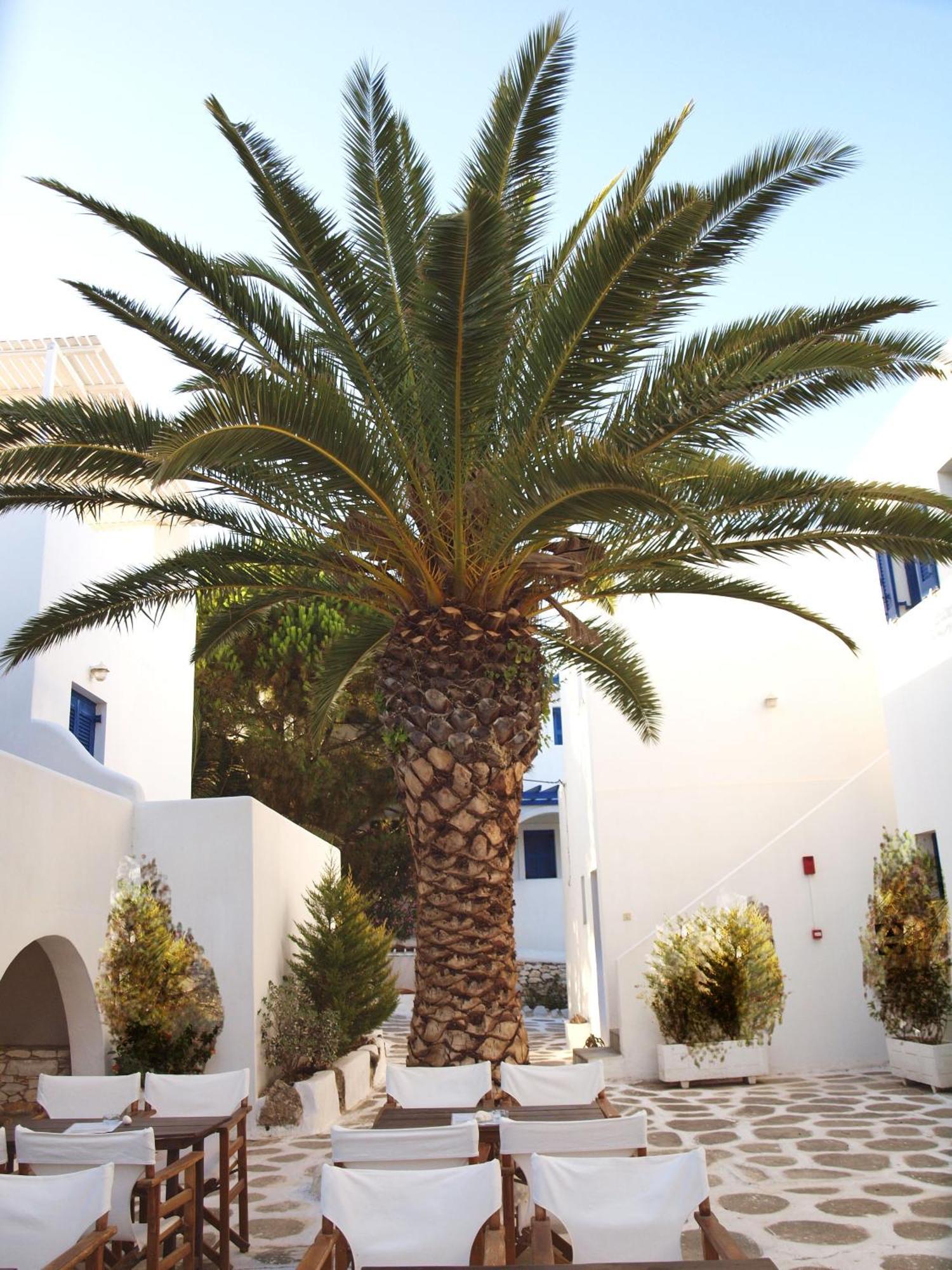 Apartment Nicos Studios & Apartments Logaras