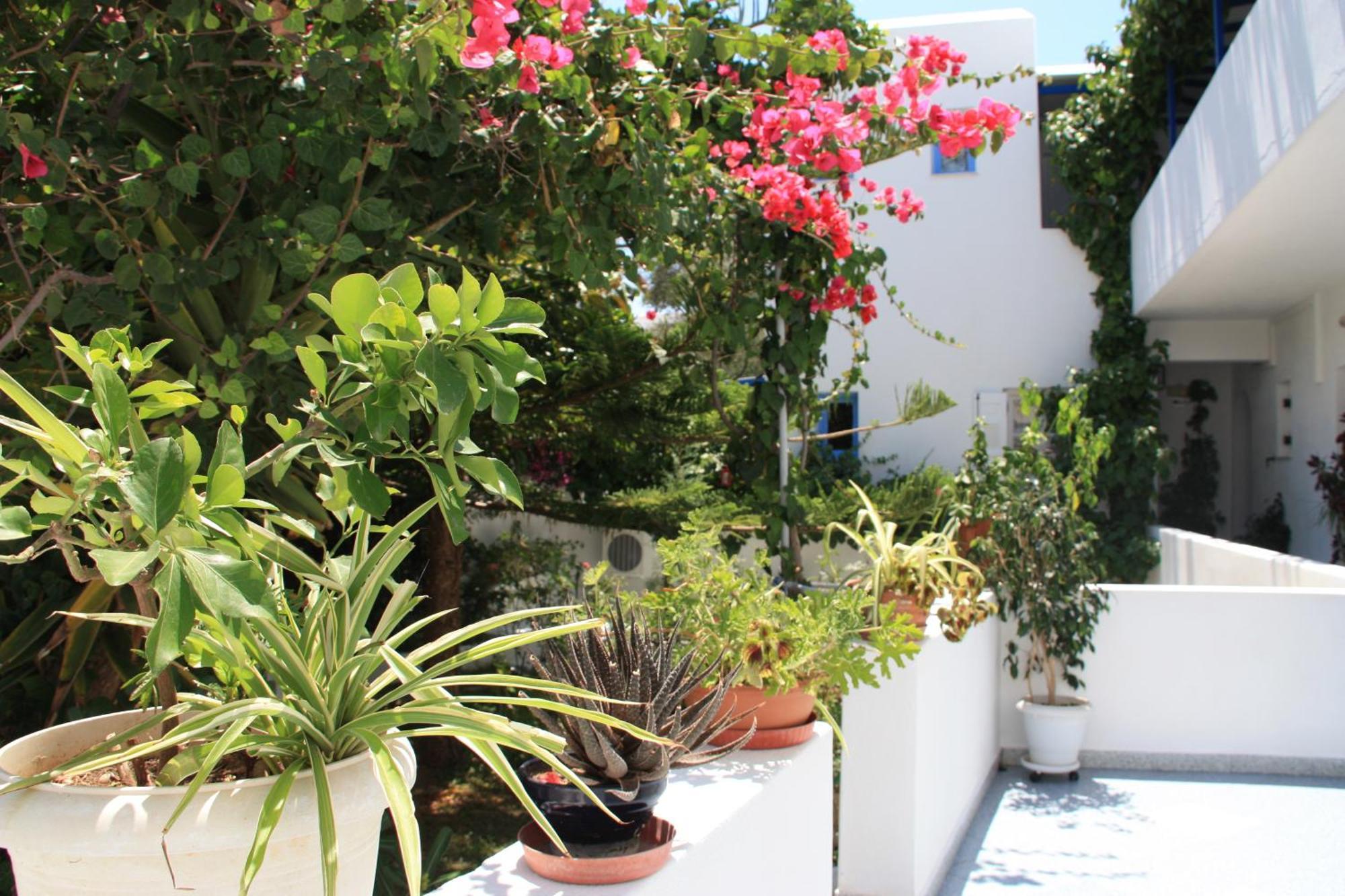 Aparthotel Loukia & Studios Naousa (Paros)