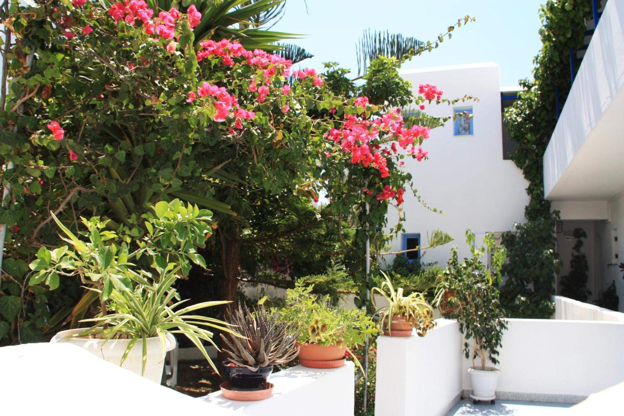 Loukia & Studios Naousa (Paros)