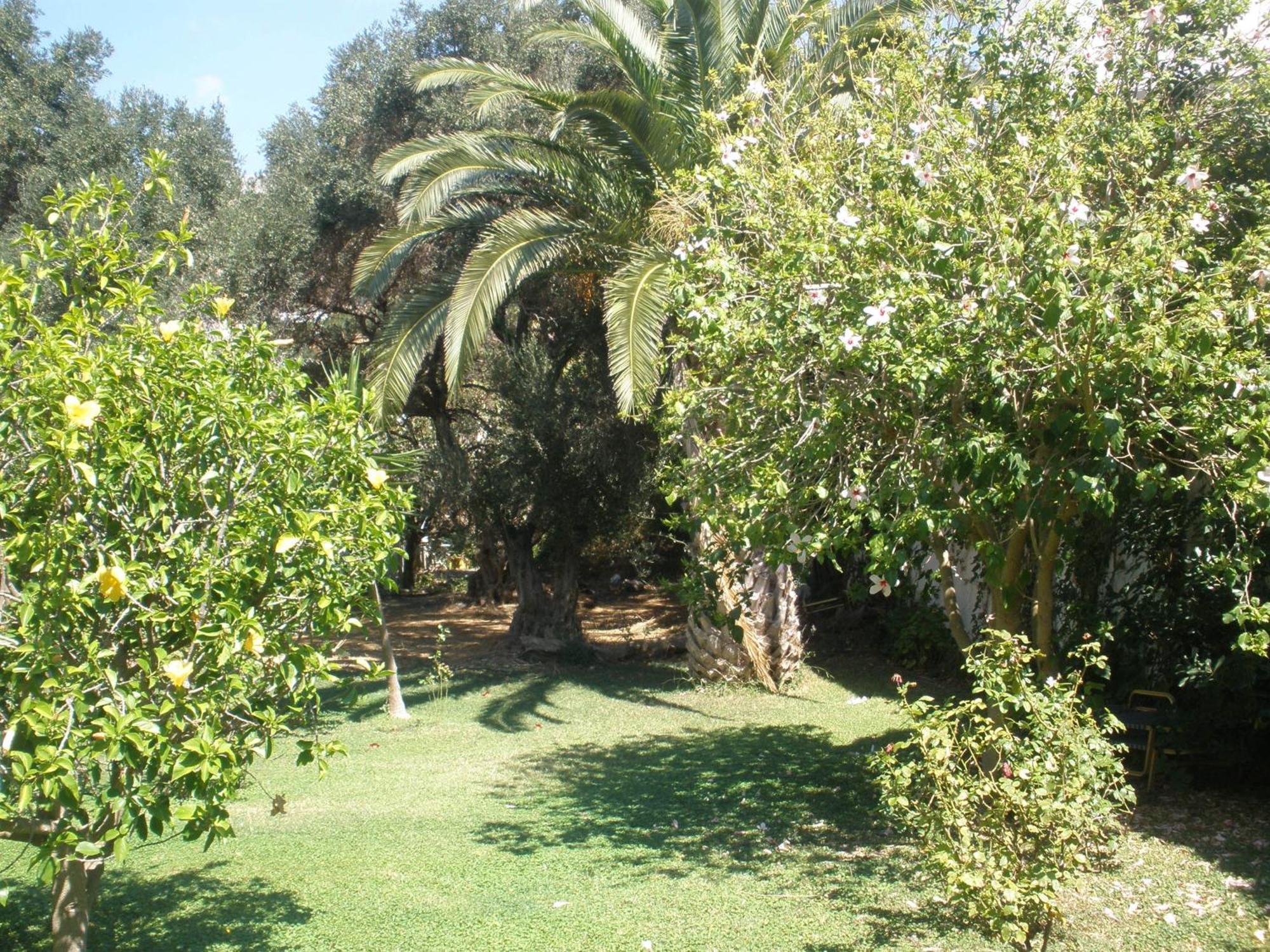 Livadi
