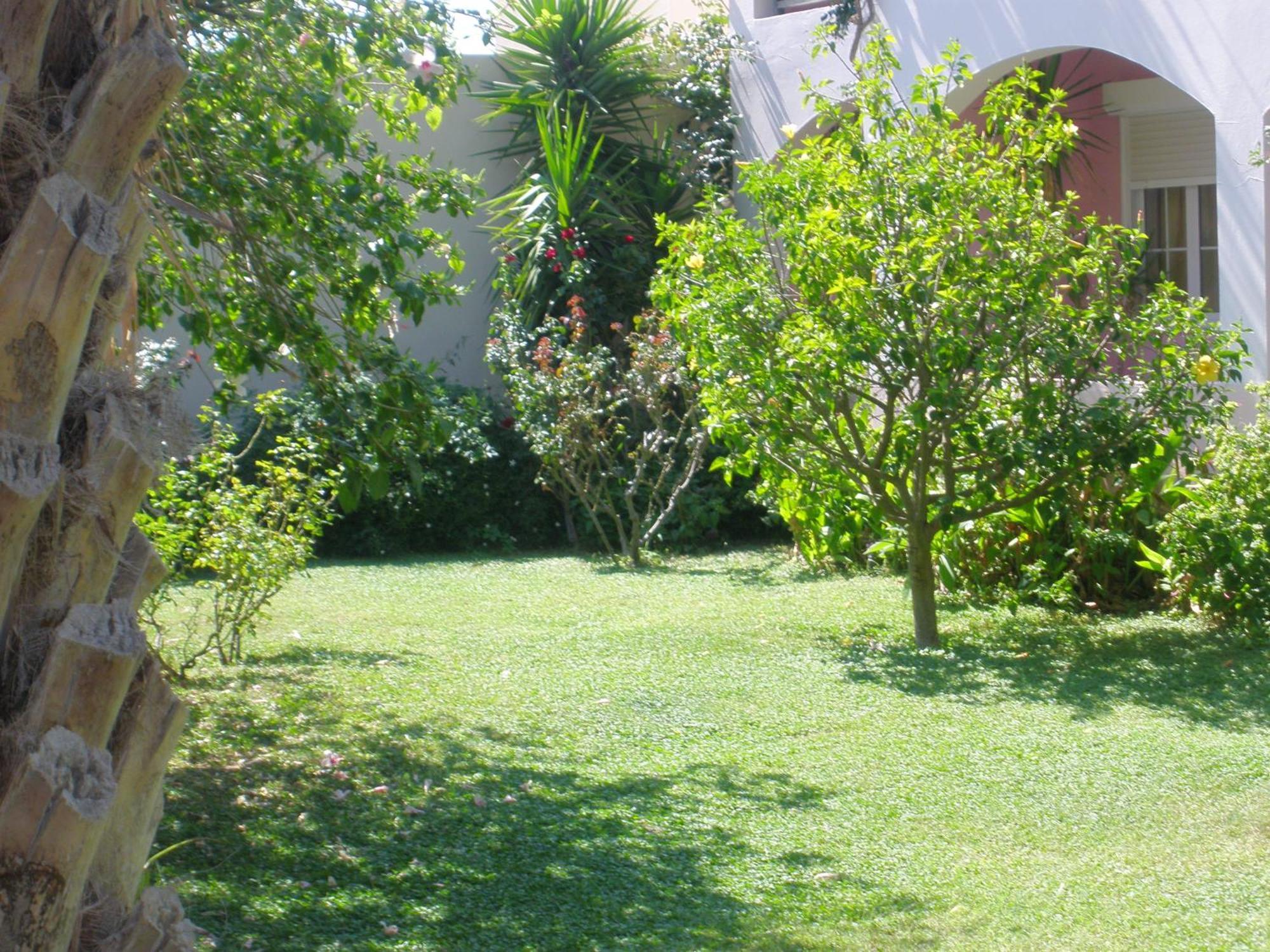 Apartment Livadi *