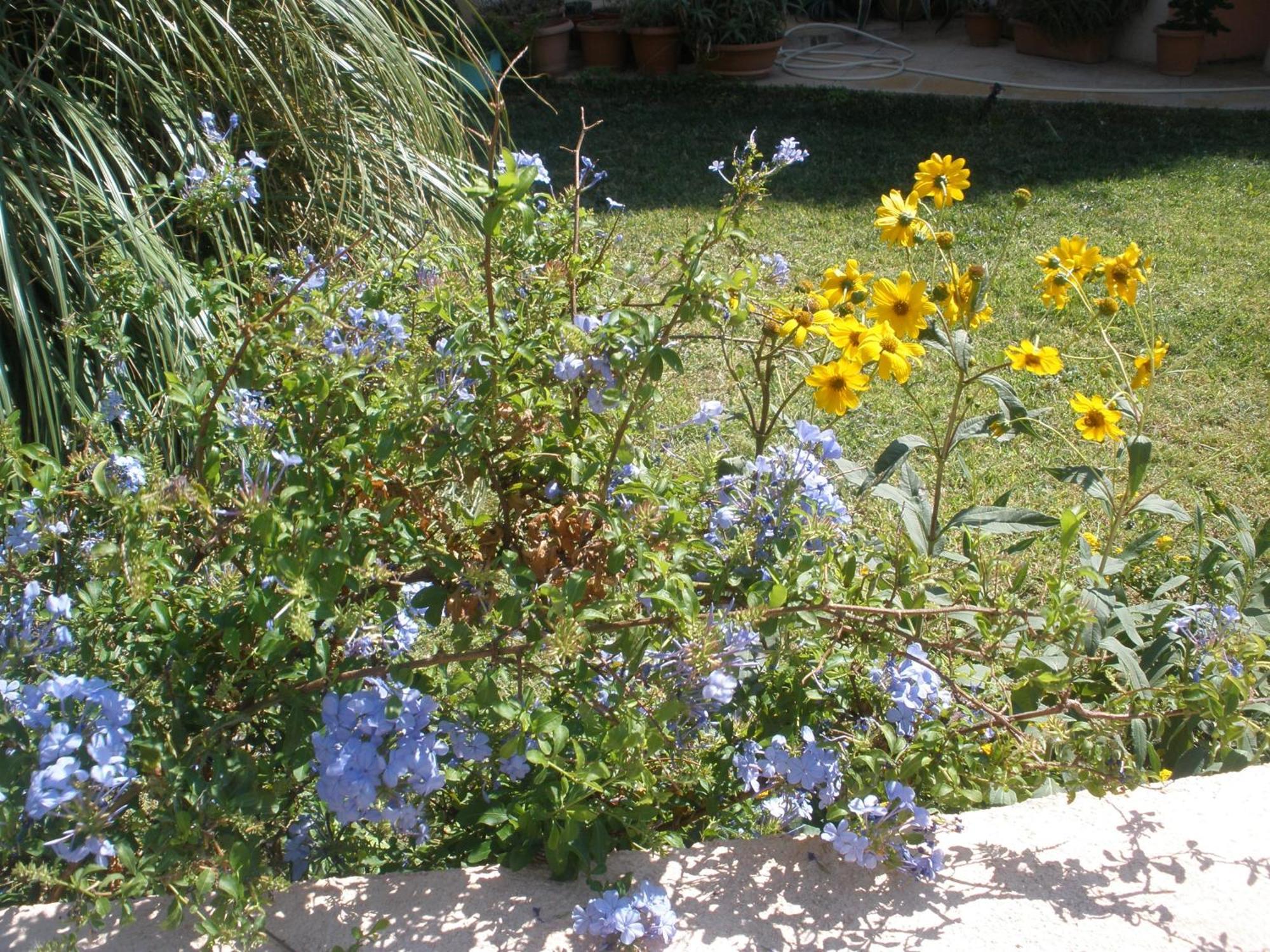 Livadi Plakias