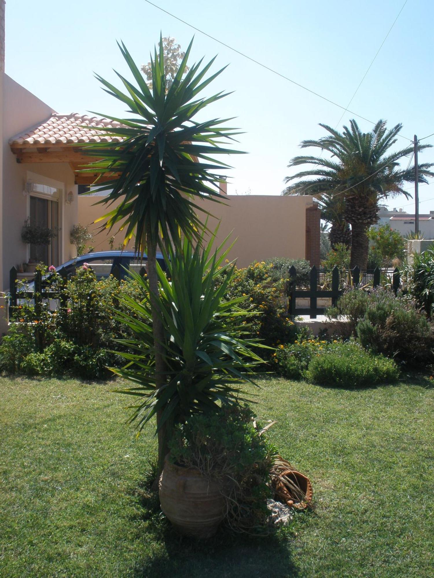 Apartment Livadi