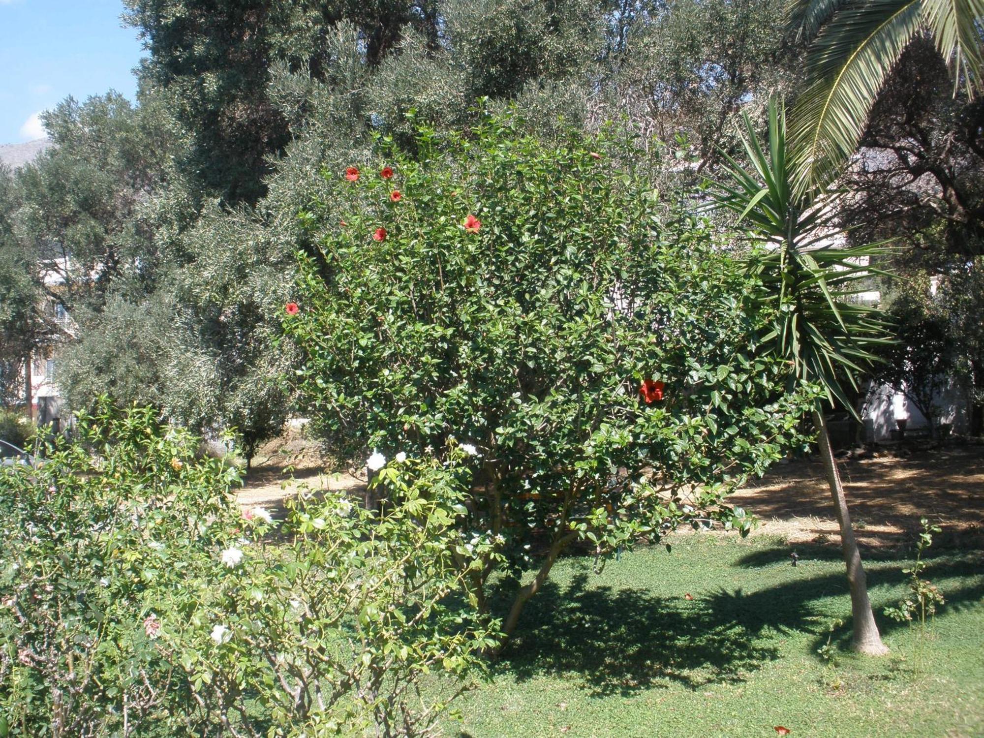 Livadi Plakias