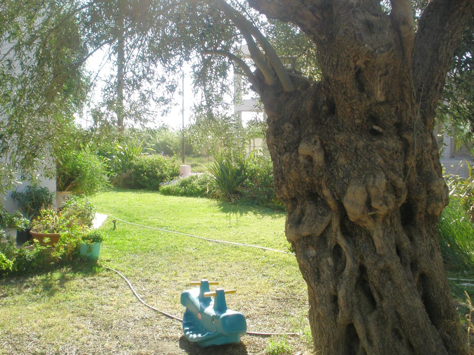 Apartment Livadi Plakias