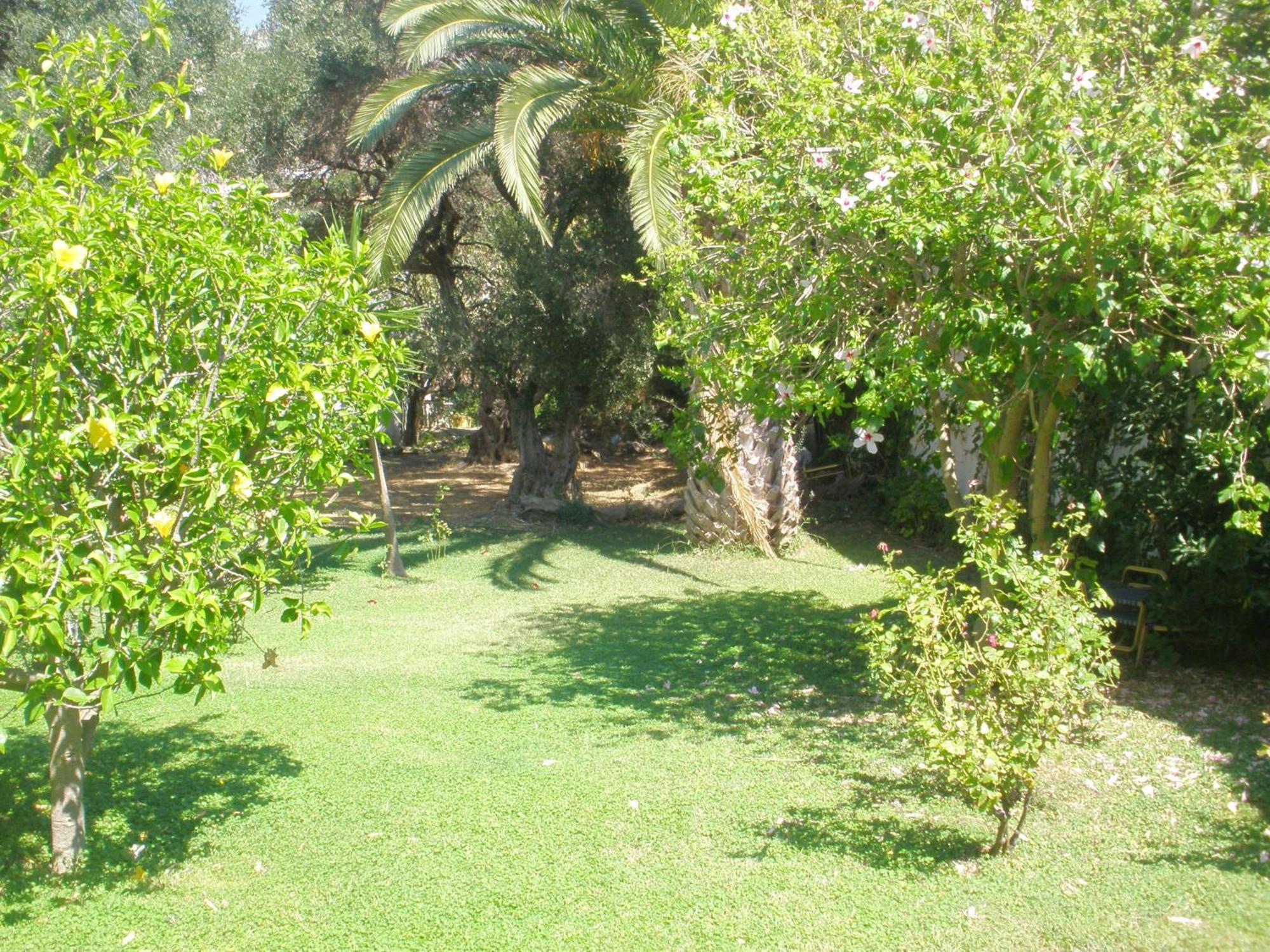Livadi