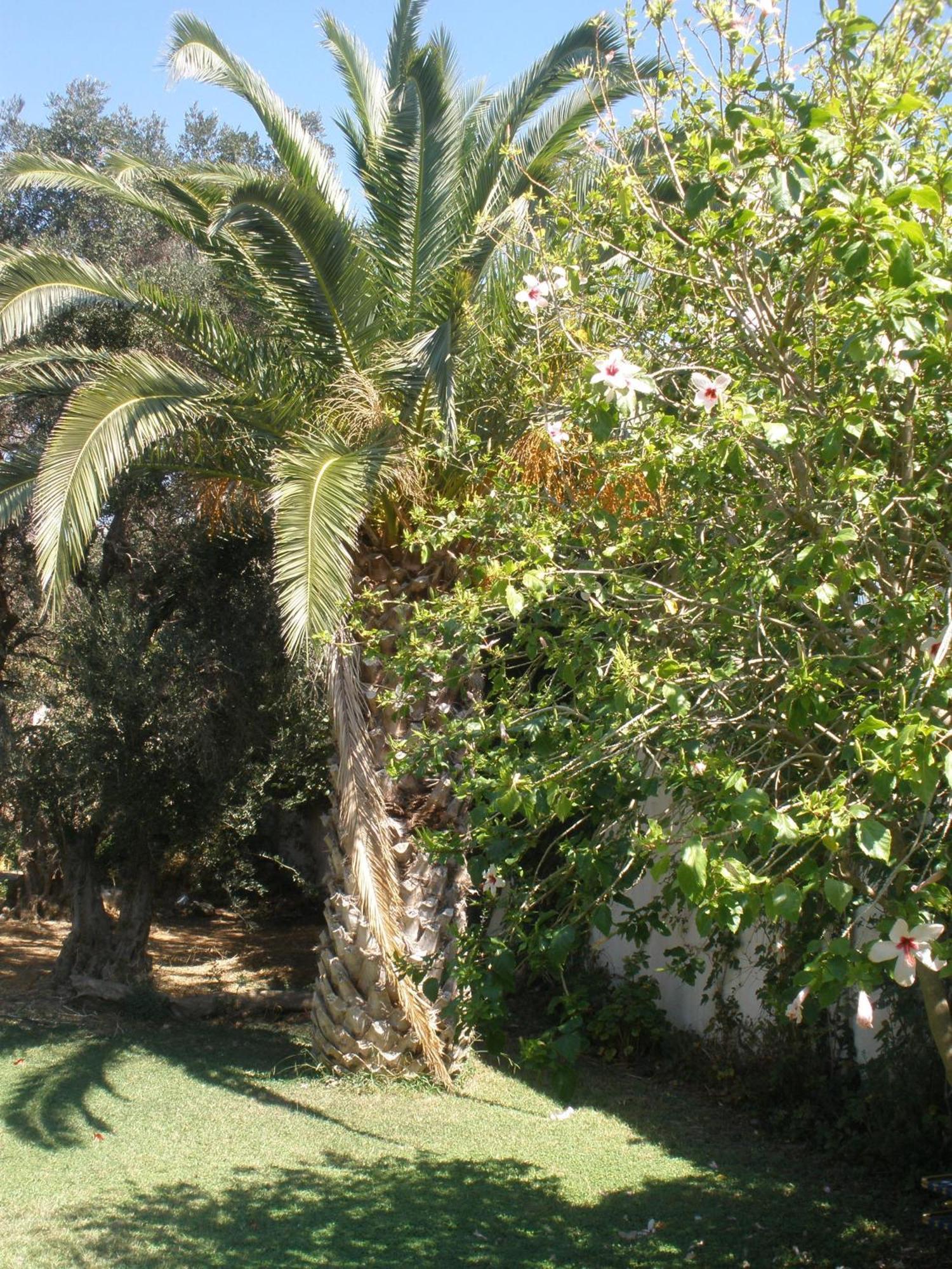 Livadi