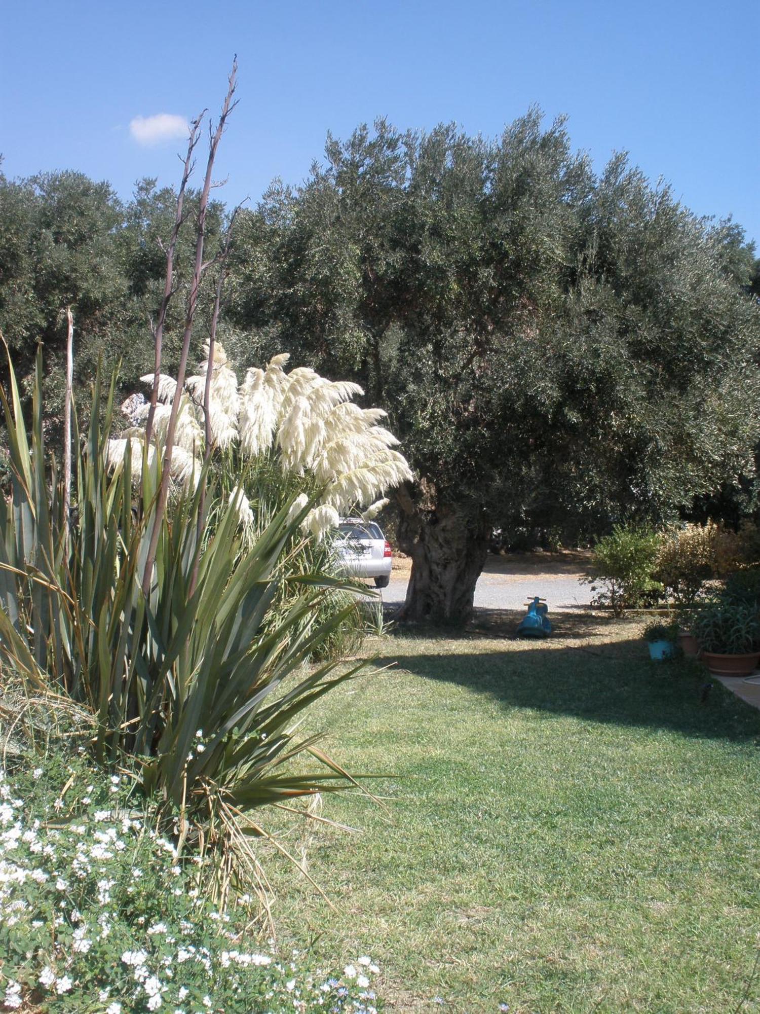Livadi Plakias
